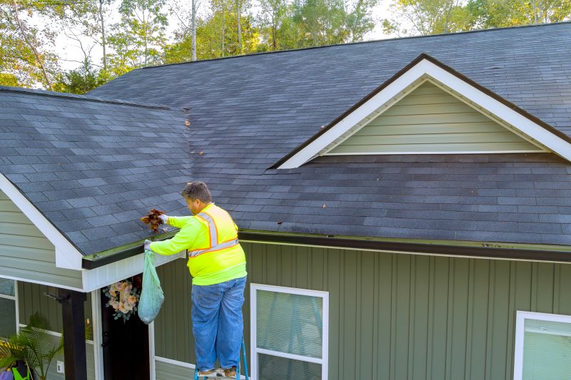 Local Gutter Service Companies